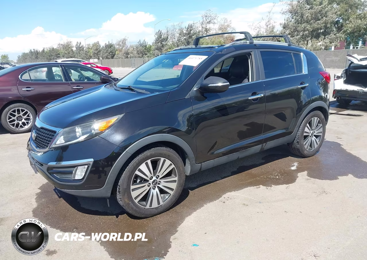 2014 Kia Sportage Ex VIN:KNDPC3AC5E7566542 - 2