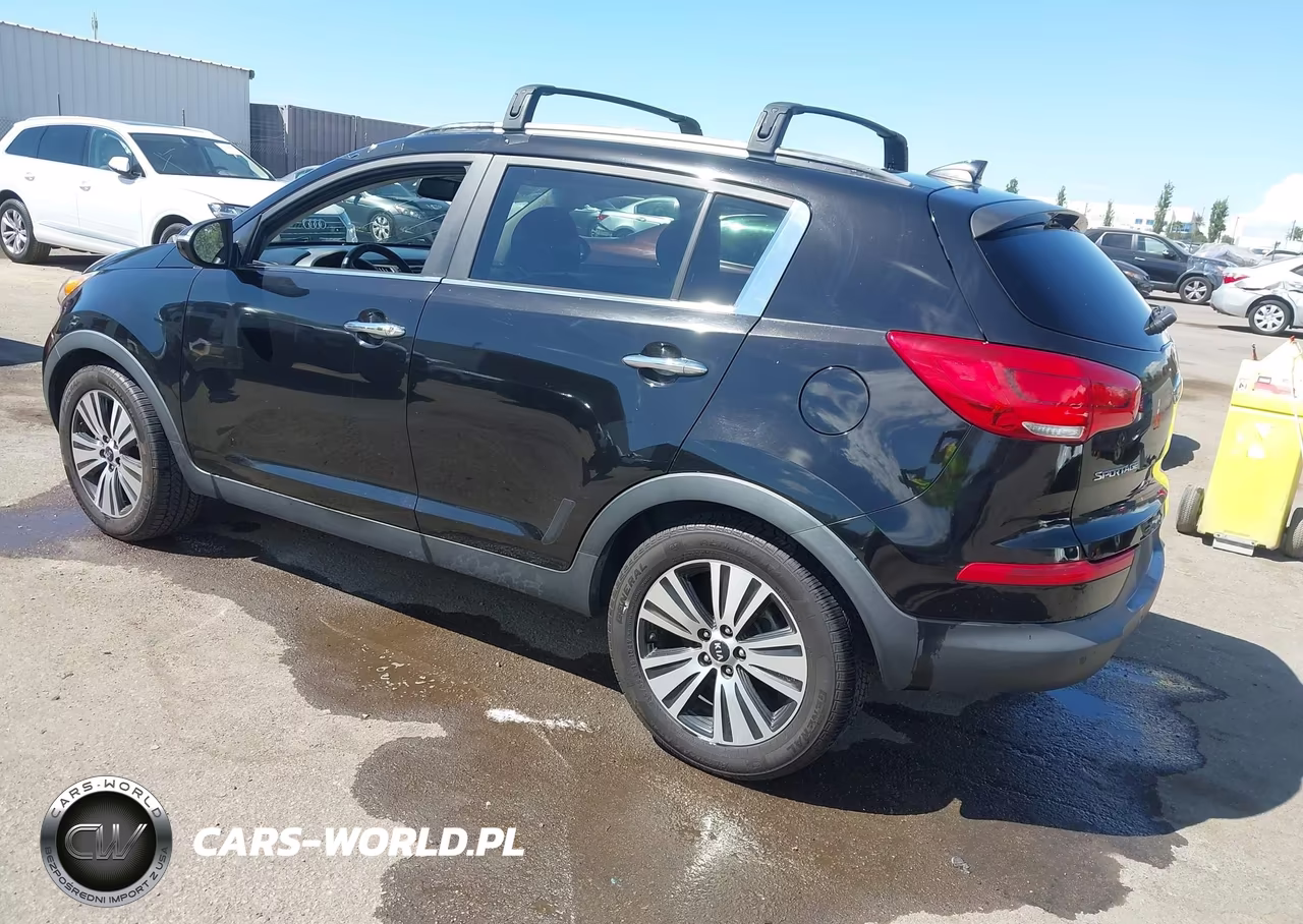2014 Kia Sportage Ex VIN:KNDPC3AC5E7566542 - 3