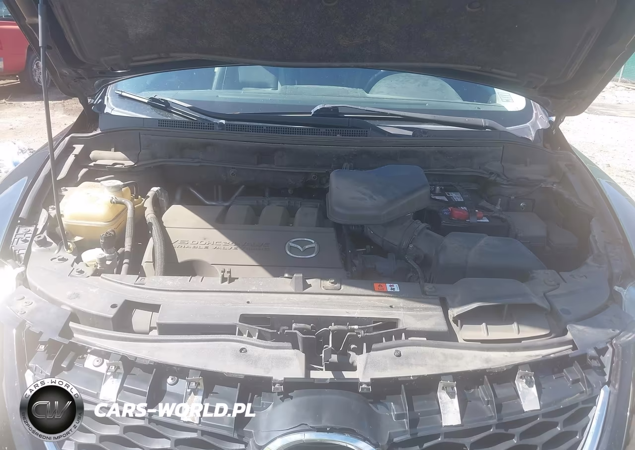 2010 Mazda Cx-9 Touring VIN:JM3TB3MV1A0208122 - 10