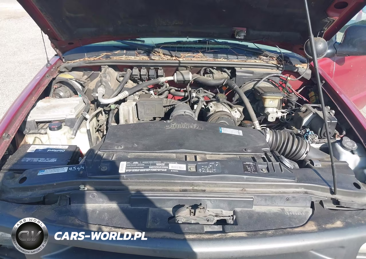 1996 Chev S10 VIN:1GCCS1448T8130690 - 10