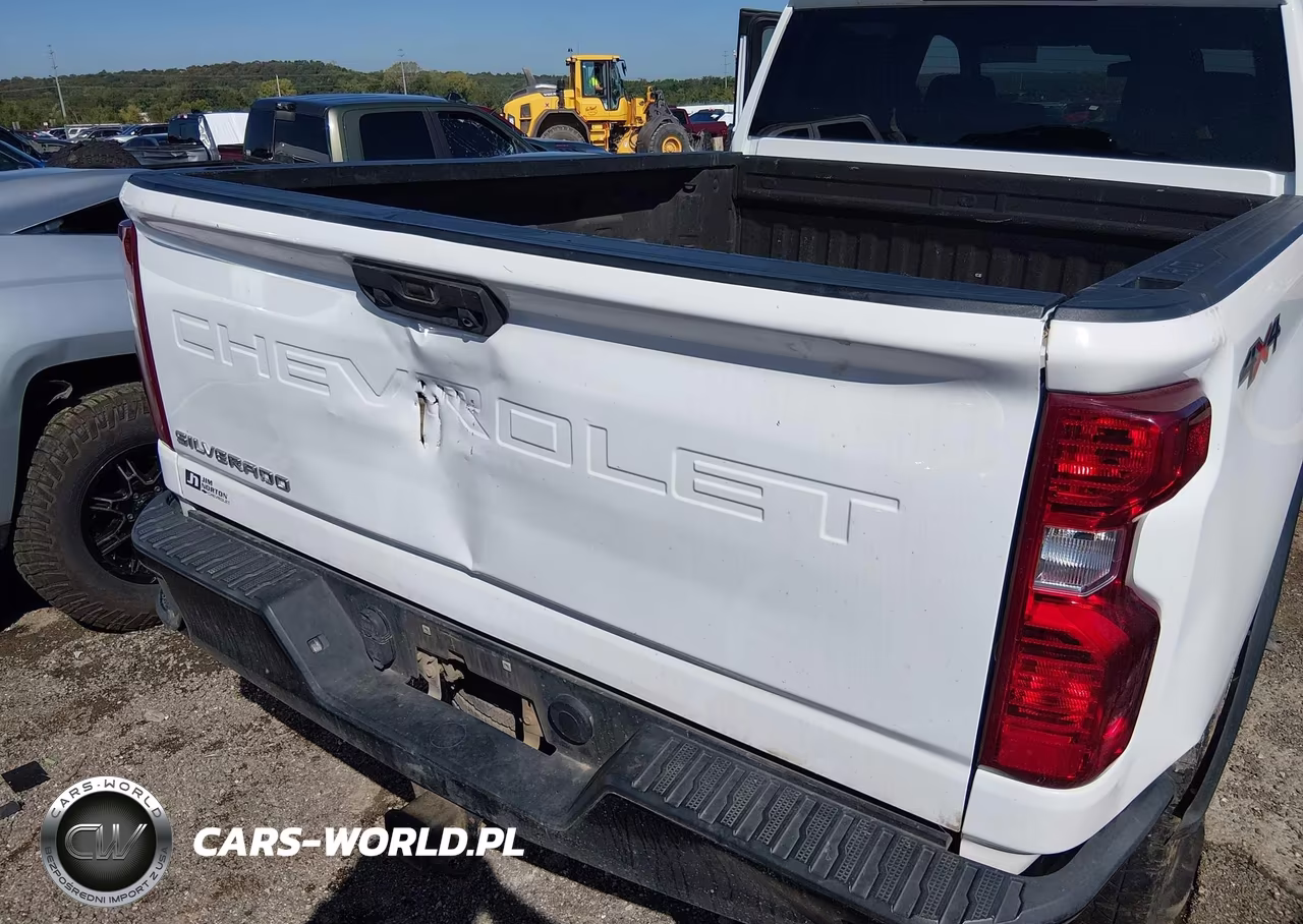 2020 Chevrolet Silverado 2500Hd 4Wd Standard Bed Wt VIN:1GC4YLE72LF105321 - 6