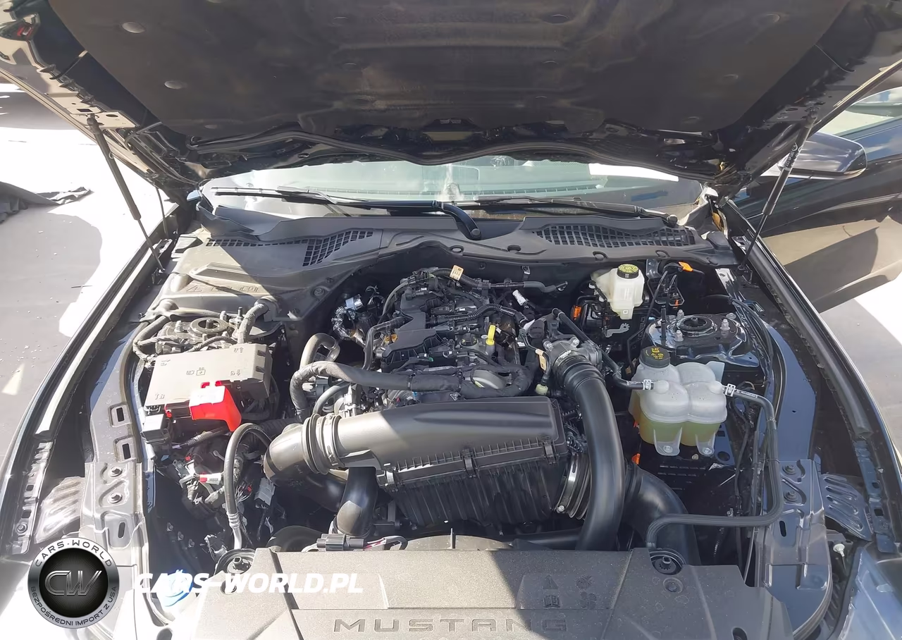 2026 Ford Mustang Ecoboost Fastback VIN:1FA6P8TH3T5123438 - 10