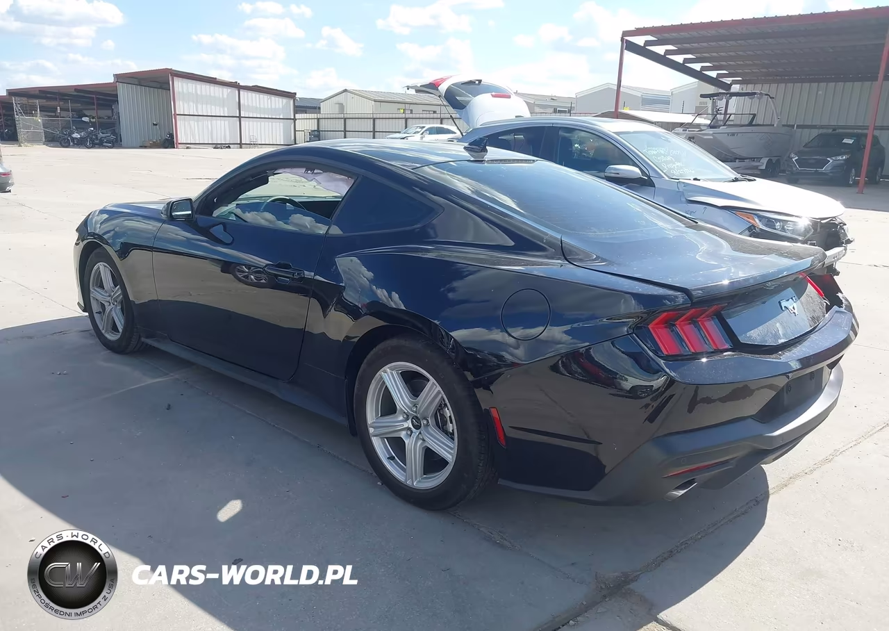 2026 Ford Mustang Ecoboost Fastback VIN:1FA6P8TH3T5123438 - 3