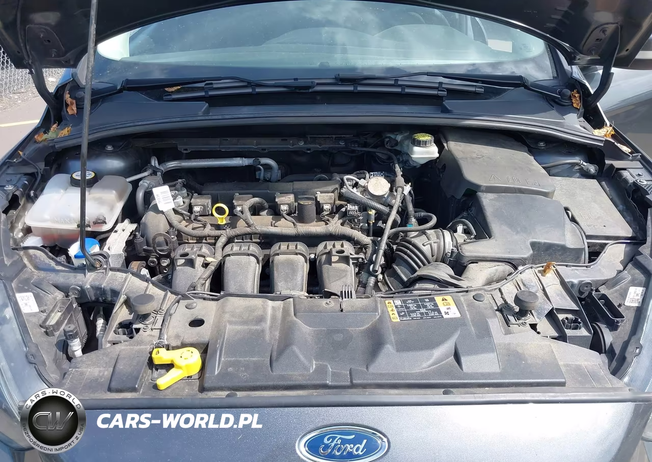 2017 Ford Focus Sel VIN:1FADP3M21HL289044 - 10