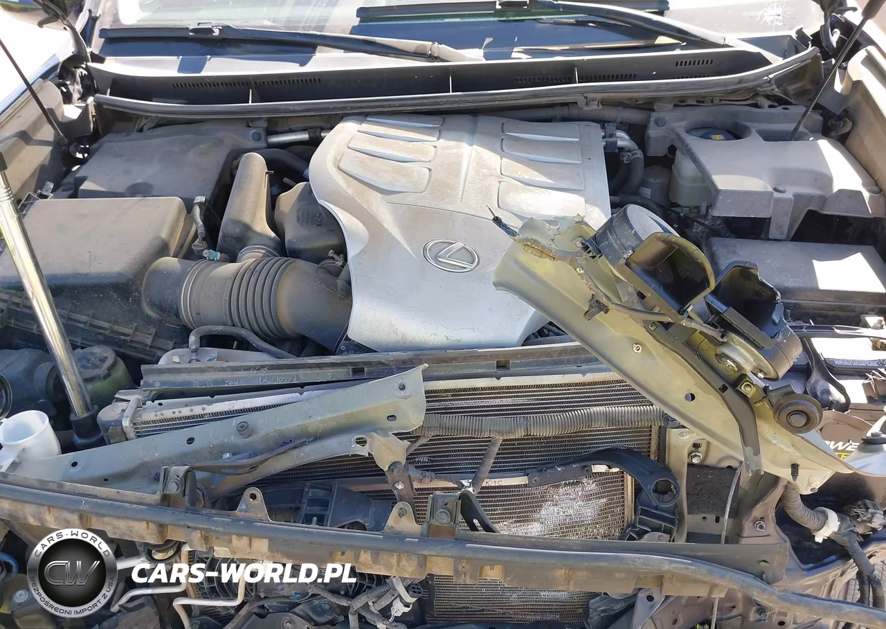 2019 Lexus Gx 460 Premium VIN:JTJBM7FX5K5226886 - 10