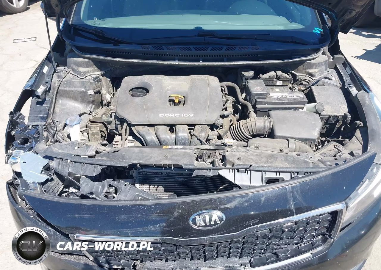2017 Kia Forte Lx VIN:3KPFL4A7XHE090152 - 10