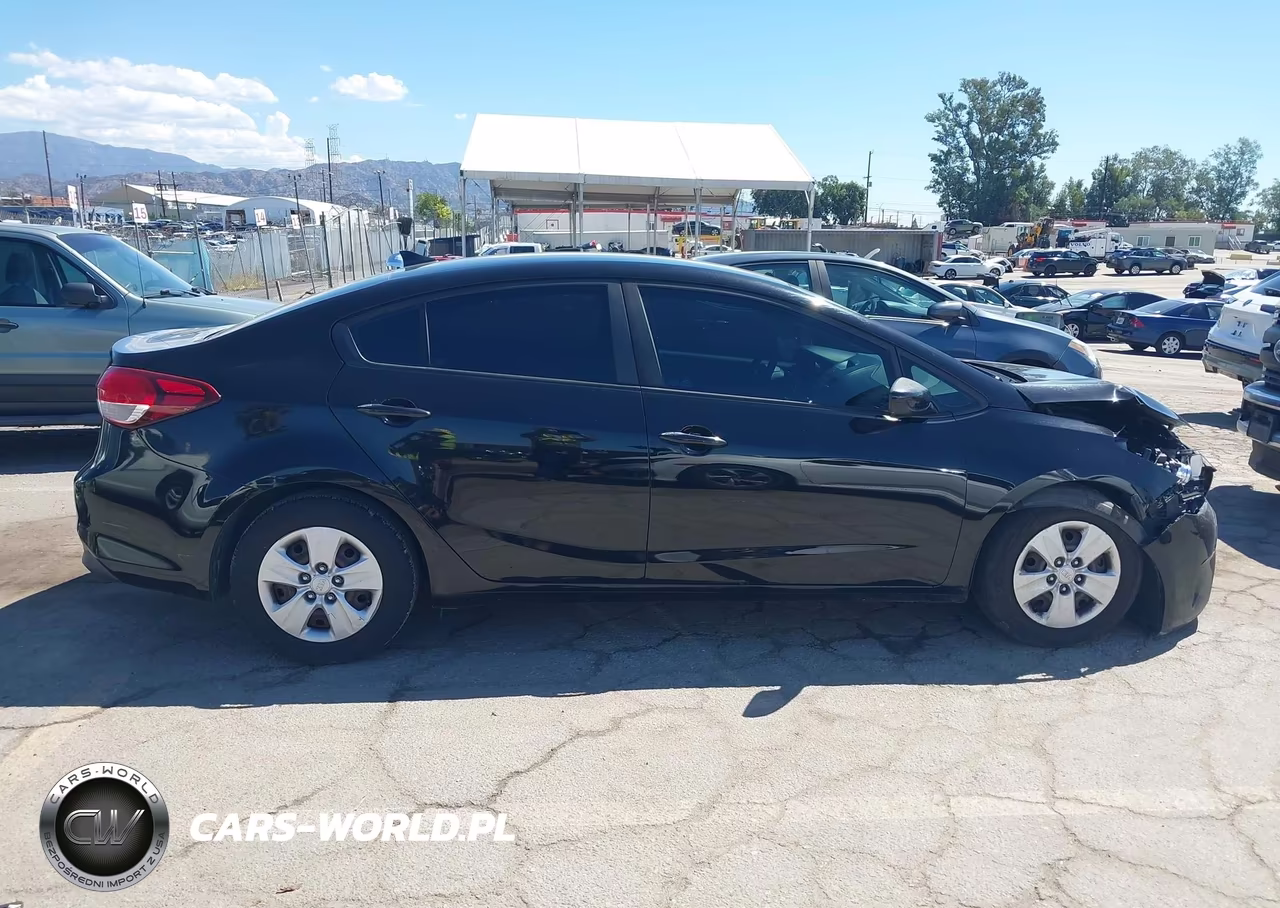 2017 Kia Forte Lx VIN:3KPFL4A7XHE090152 - 13