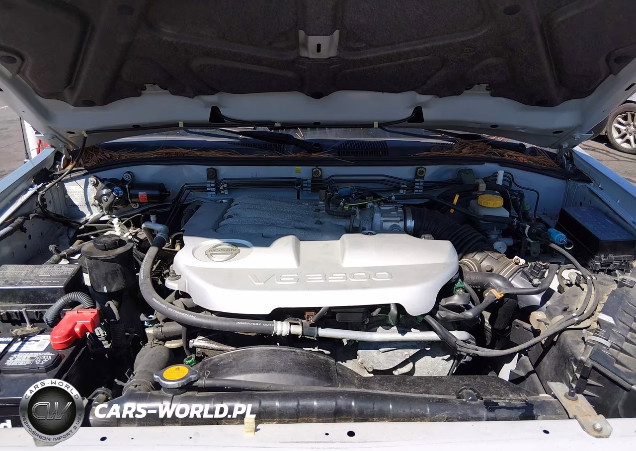 2004 Nissan Pathfinder Se VIN:JN8DR09X44W809726 - 10