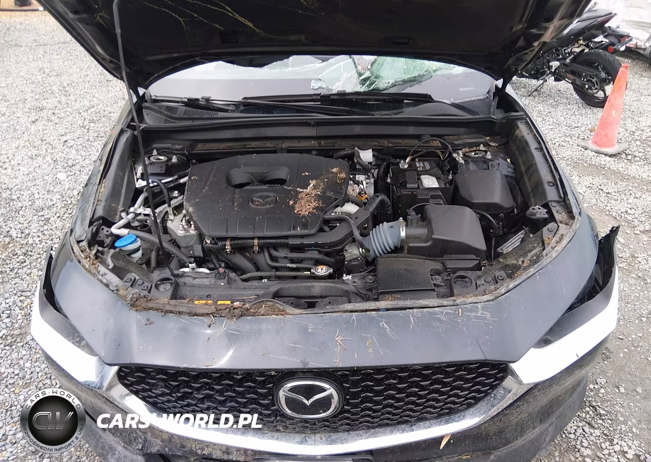 2025 Mazda Cx-30 2.5 S Preferred Package VIN:3MVDMBCM9SM814565 - 10