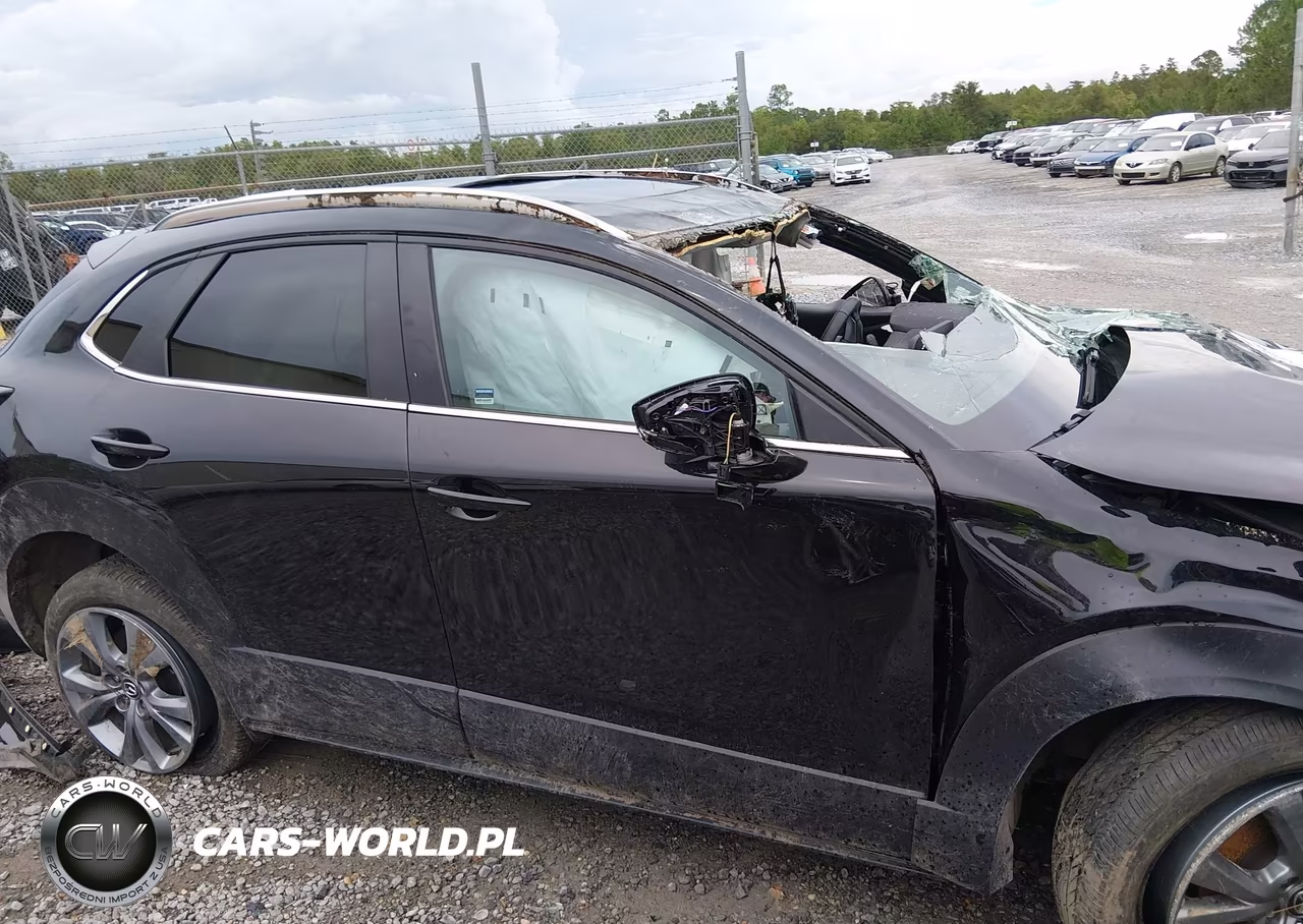 2025 Mazda Cx-30 2.5 S Preferred Package VIN:3MVDMBCM9SM814565 - 13