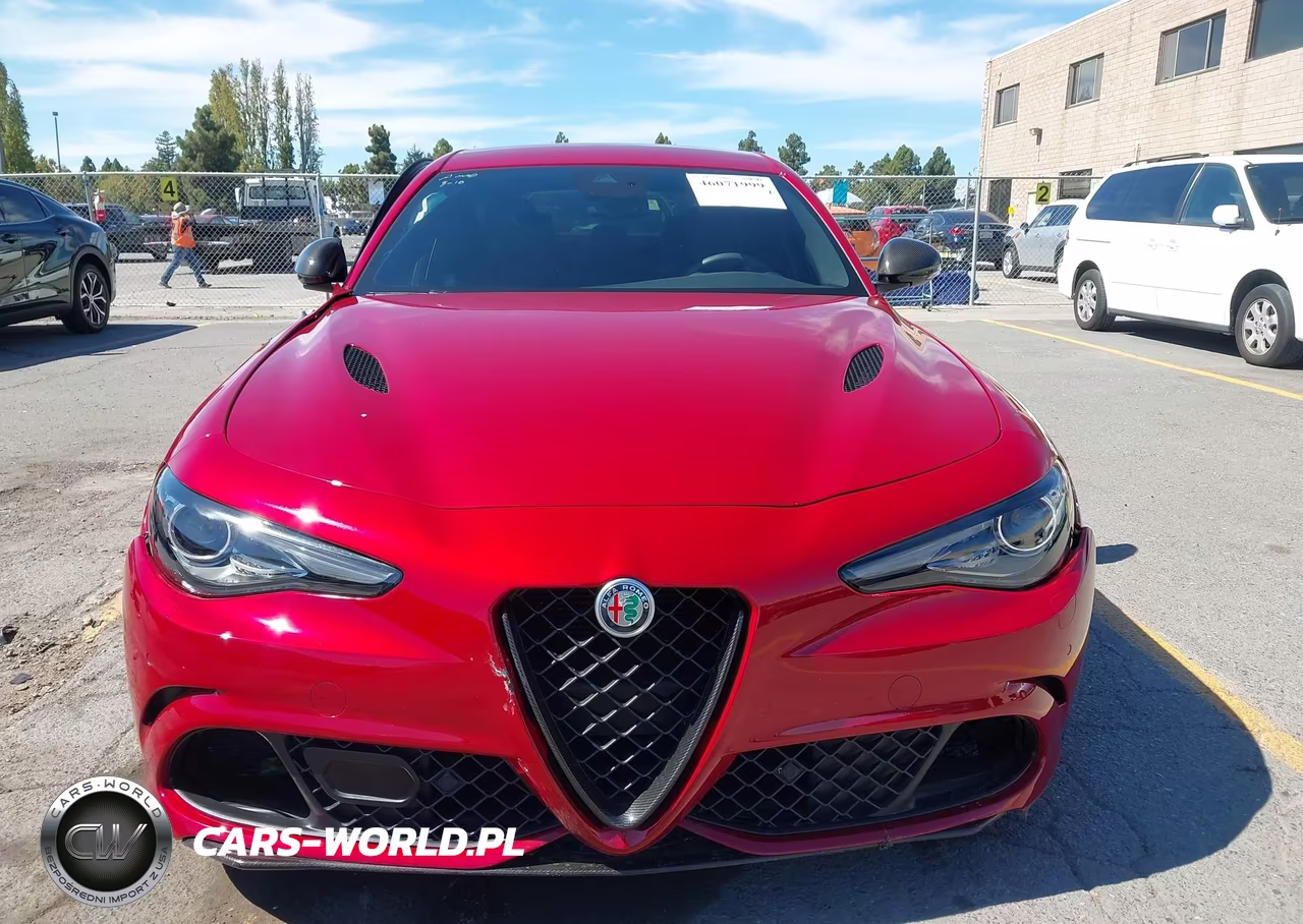 2019 Alfa Romeo Giulia Quadrifoglio Rwd VIN:ZARFAMEV0K7602917 - 12