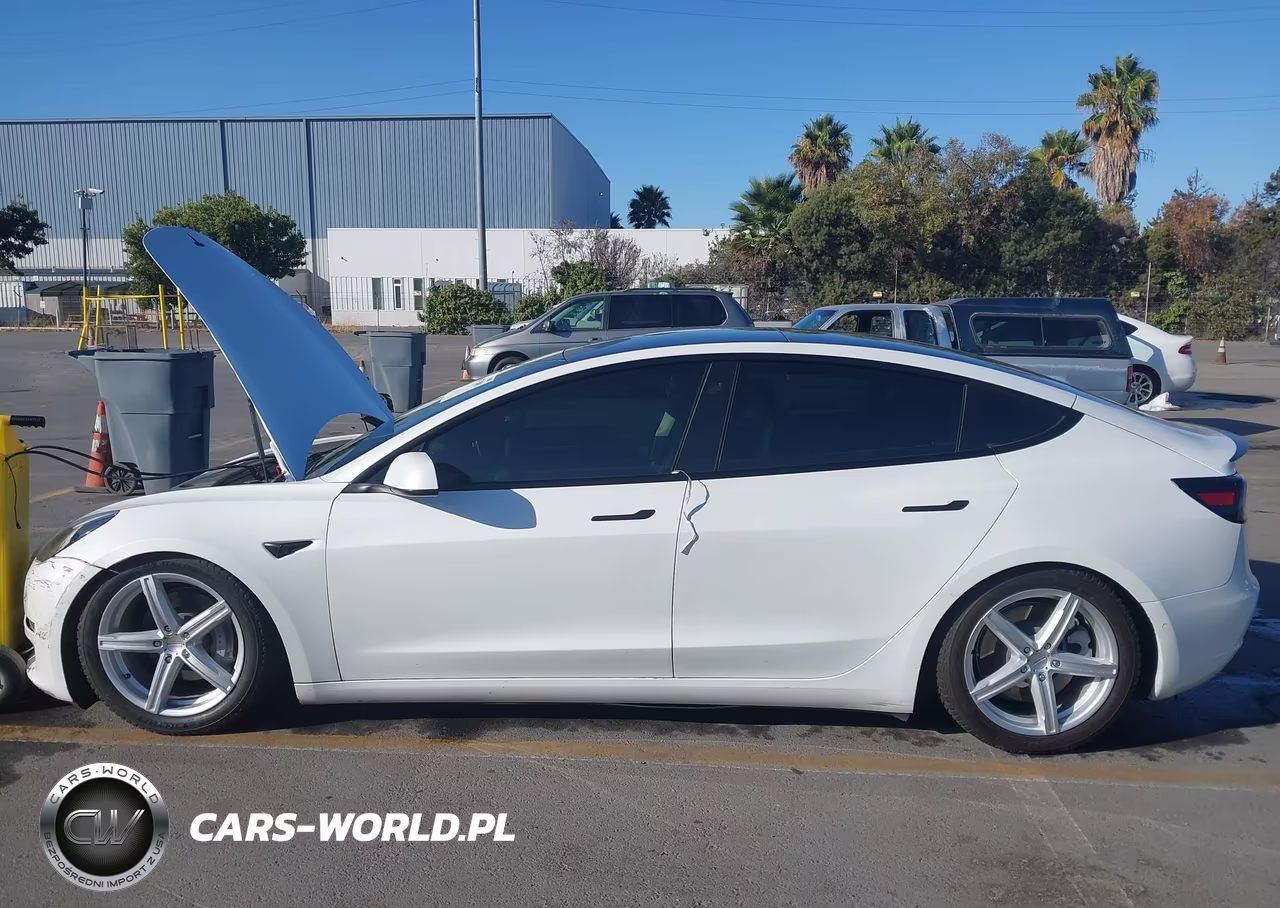 2022 Tesla Model 3 Long Range Dual Motor All-Wheel Drive VIN:5YJ3E1EB0NF126110 - 13