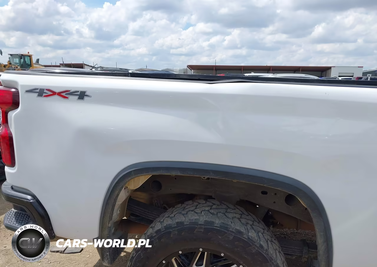 2020 Chevrolet Silverado 2500Hd 4Wd Long Bed Wt VIN:1GC4YLEY2LF196213 - 12