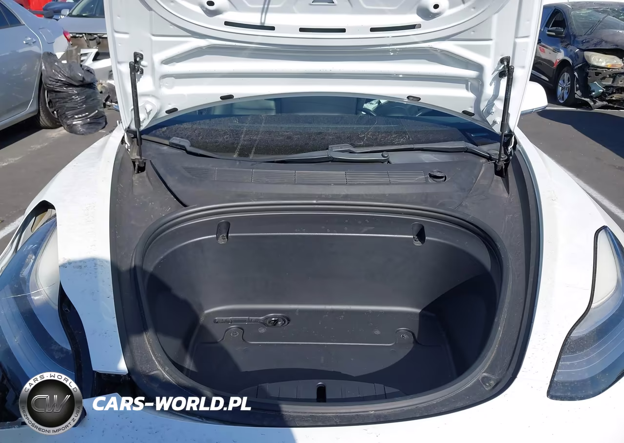 2020 Tesla Model 3 Standard Range Plus Rear-Wheel Drive-Standard Range Rear-Wheel Drive VIN:5YJ3E1EA5LF744754 - 10