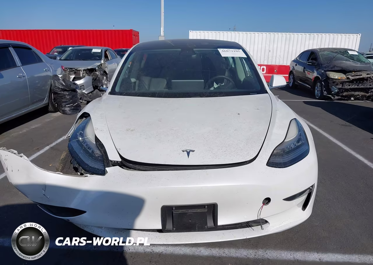 2020 Tesla Model 3 Standard Range Plus Rear-Wheel Drive-Standard Range Rear-Wheel Drive VIN:5YJ3E1EA5LF744754 - 12