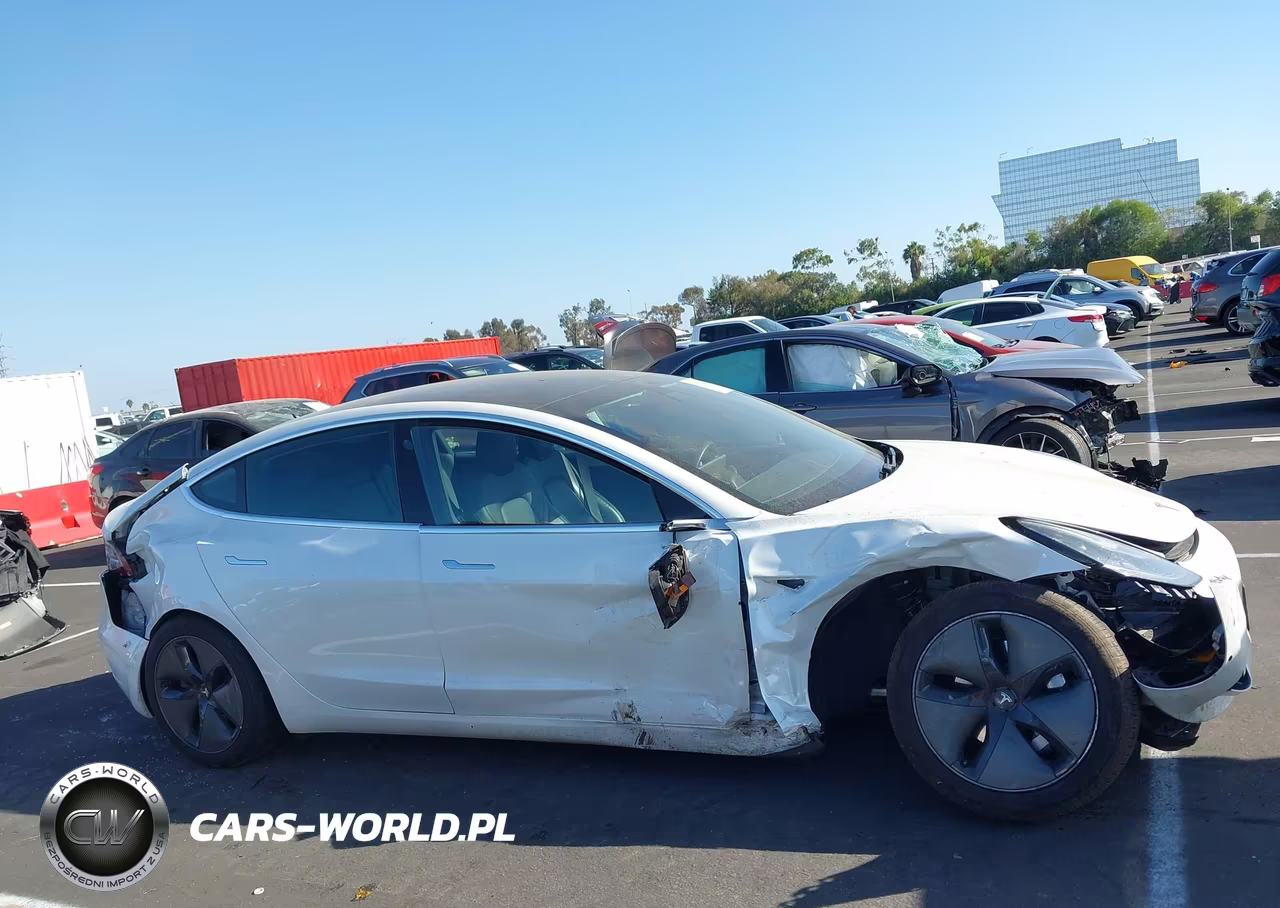 2020 Tesla Model 3 Standard Range Plus Rear-Wheel Drive-Standard Range Rear-Wheel Drive VIN:5YJ3E1EA5LF744754 - 13