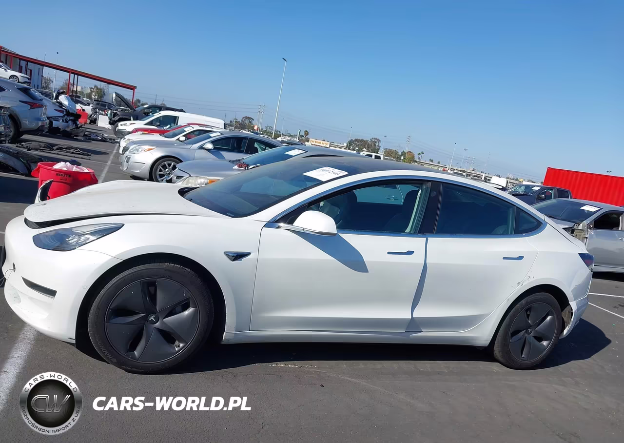 2020 Tesla Model 3 Standard Range Plus Rear-Wheel Drive-Standard Range Rear-Wheel Drive VIN:5YJ3E1EA5LF744754 - 14