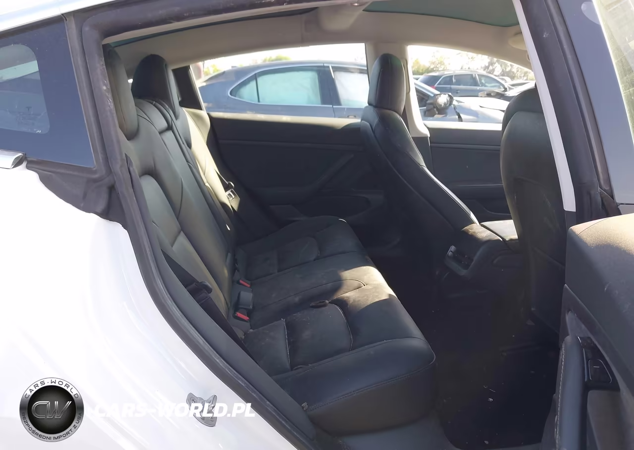 2020 Tesla Model 3 Standard Range Plus Rear-Wheel Drive-Standard Range Rear-Wheel Drive VIN:5YJ3E1EA5LF744754 - 8
