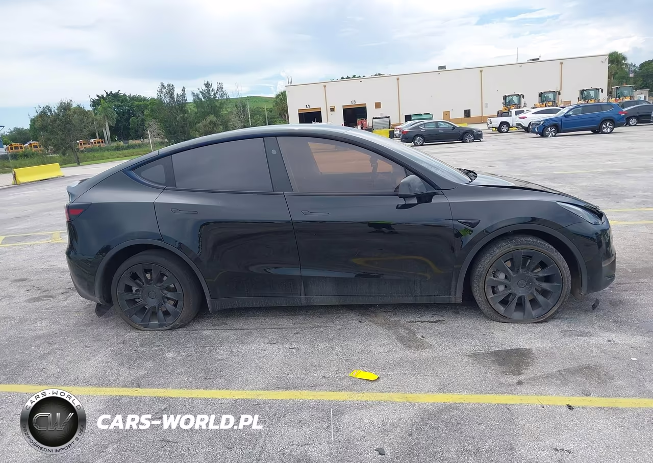 2025 Tesla Model Y Long Range Dual Motor All-Wheel Drive VIN:7SAYGDEE7SF302130 - 12