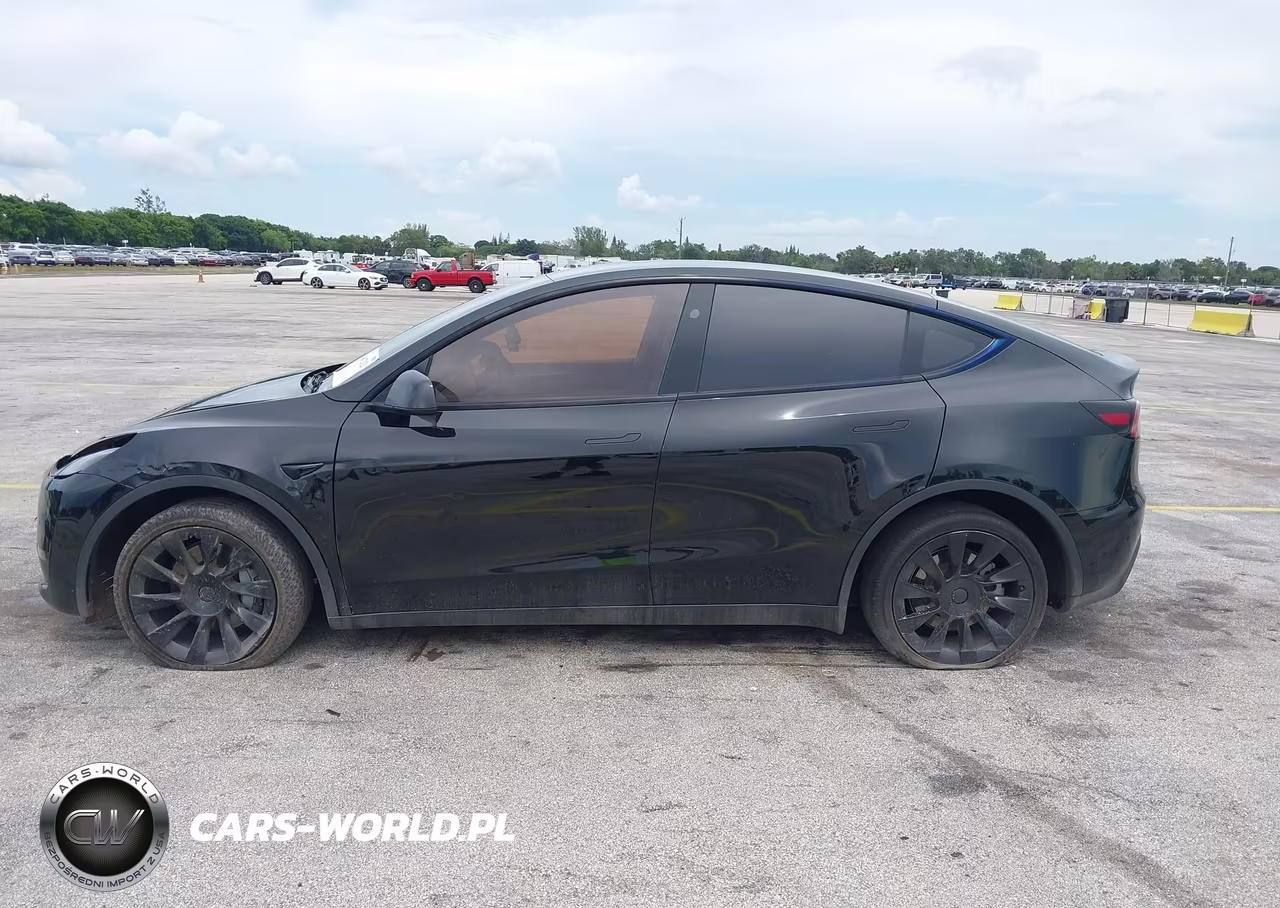 2025 Tesla Model Y Long Range Dual Motor All-Wheel Drive VIN:7SAYGDEE7SF302130 - 13