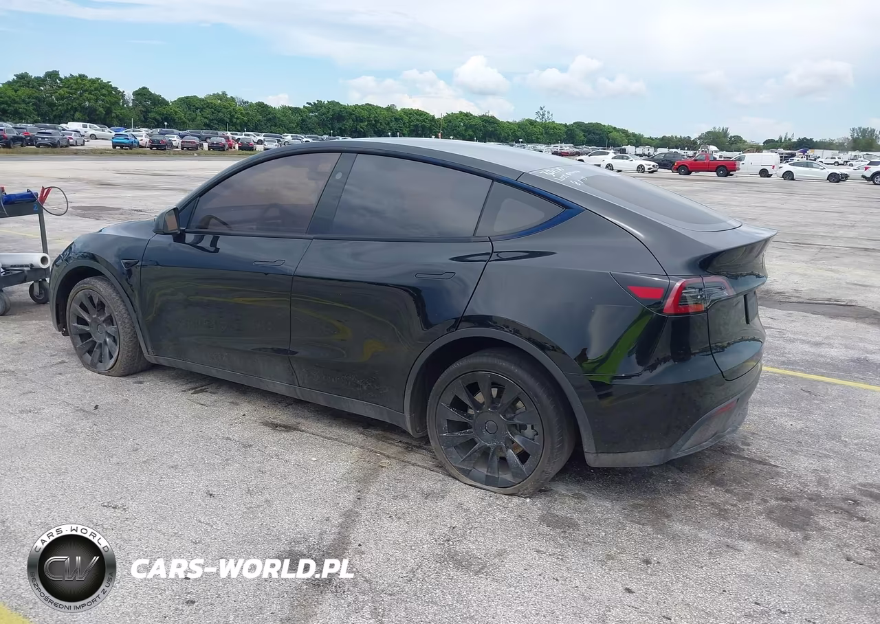 2025 Tesla Model Y Long Range Dual Motor All-Wheel Drive VIN:7SAYGDEE7SF302130 - 3