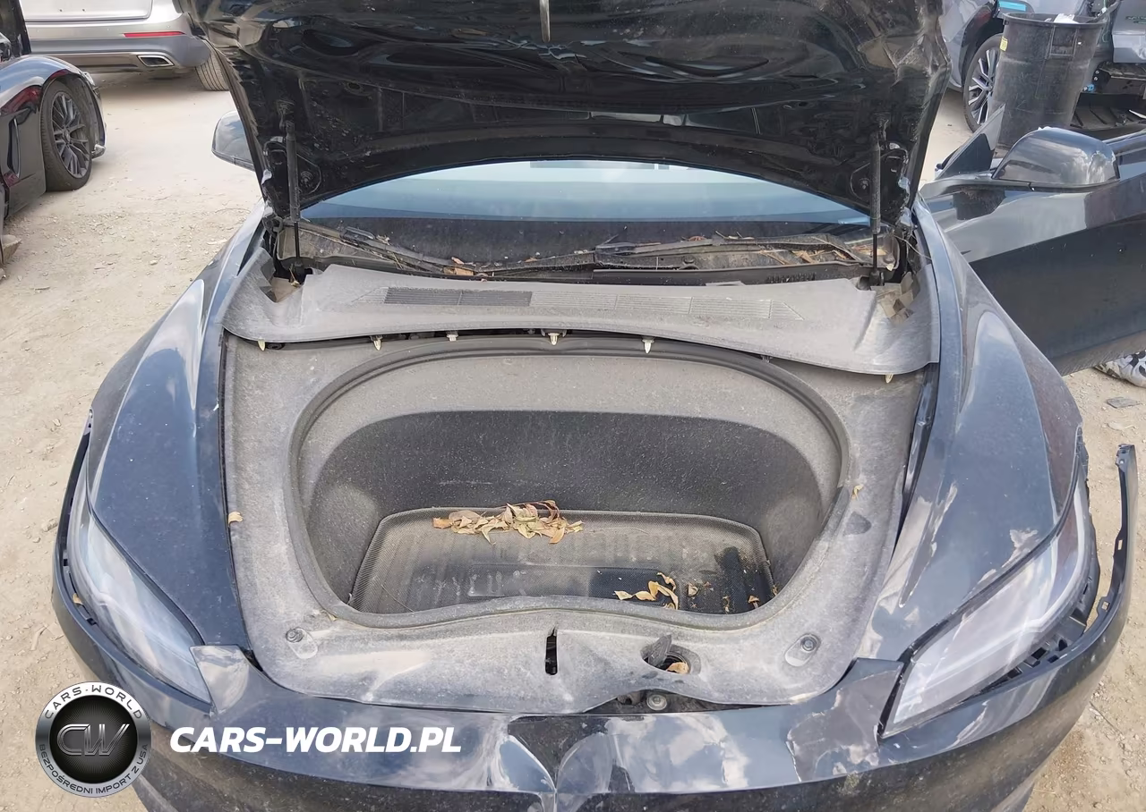2025 Tesla Model 3 Long Range Rear-Wheel Drive-Standard Rear-Wheel Drive VIN:5YJ3E1EA0SF917160 - 10