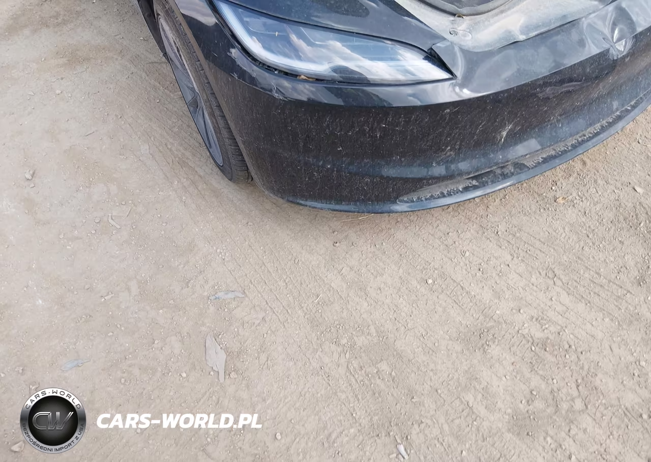 2025 Tesla Model 3 Long Range Rear-Wheel Drive-Standard Rear-Wheel Drive VIN:5YJ3E1EA0SF917160 - 19