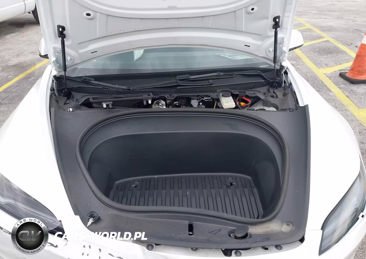 2025 Tesla Model 3 Long Range Rear-Wheel Drive-Standard Rear-Wheel Drive VIN:5YJ3E1EA1SF127091 - 10
