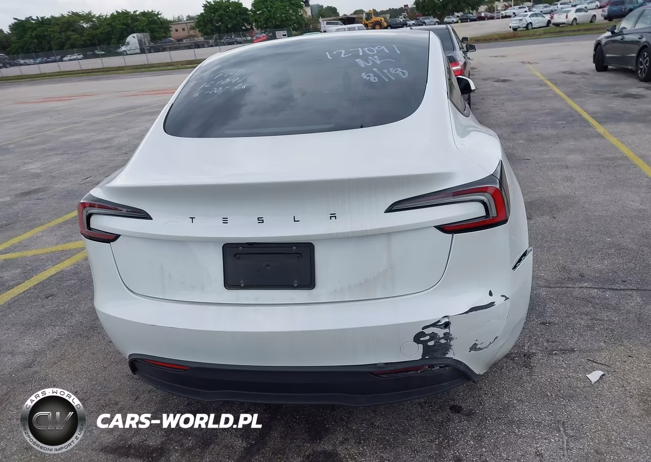 2025 Tesla Model 3 Long Range Rear-Wheel Drive-Standard Rear-Wheel Drive VIN:5YJ3E1EA1SF127091 - 15