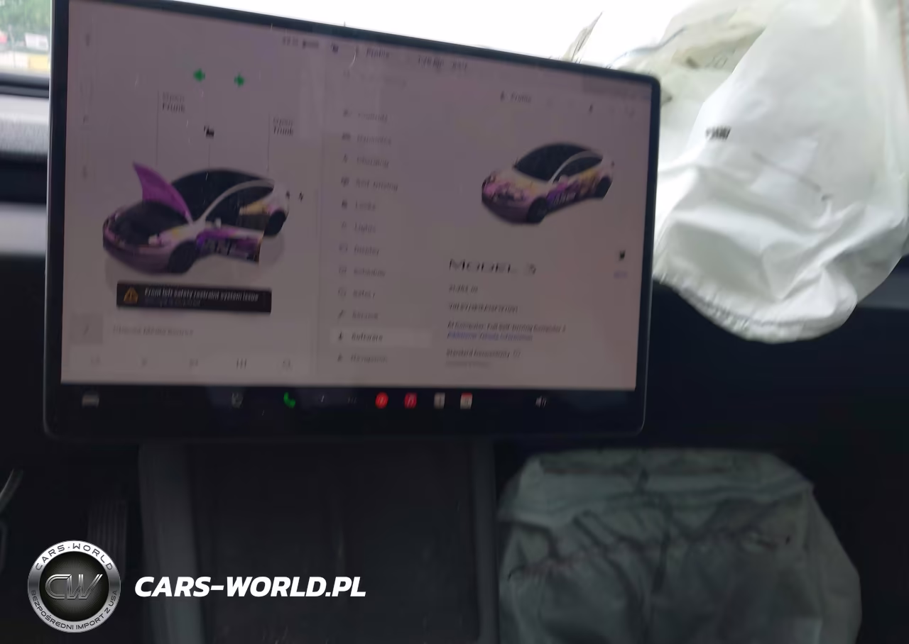 2025 Tesla Model 3 Long Range Rear-Wheel Drive-Standard Rear-Wheel Drive VIN:5YJ3E1EA1SF127091 - 17