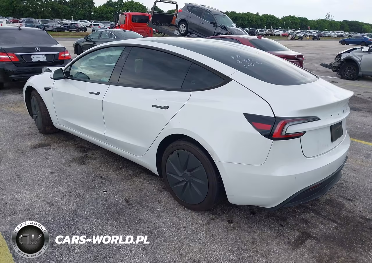 2025 Tesla Model 3 Long Range Rear-Wheel Drive-Standard Rear-Wheel Drive VIN:5YJ3E1EA1SF127091 - 3