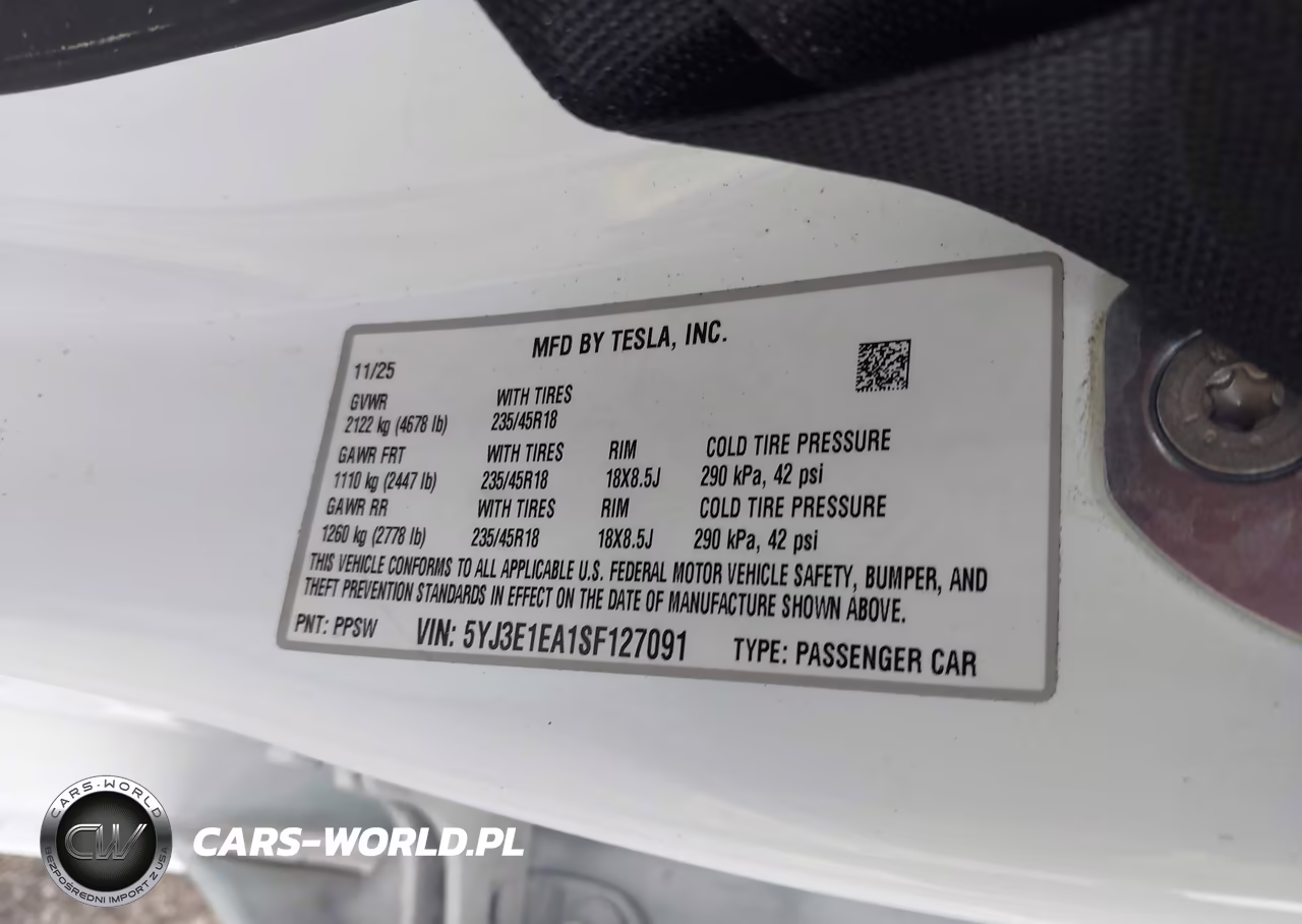2025 Tesla Model 3 Long Range Rear-Wheel Drive-Standard Rear-Wheel Drive VIN:5YJ3E1EA1SF127091 - 9