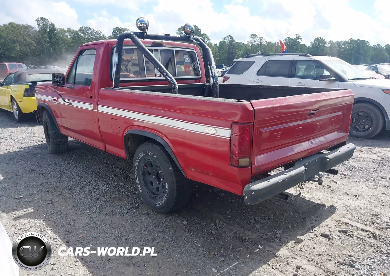1981 Ford F150 VIN:1FTDF15FXBUA57577 - 3