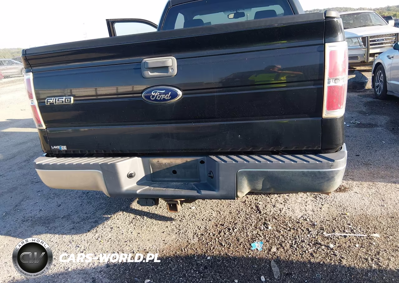 2010 Ford F-150 Stx-Xl-Xlt-Xlt W-Mid-Box Prep VIN:1FTMF1CWXAKB05429 - 6