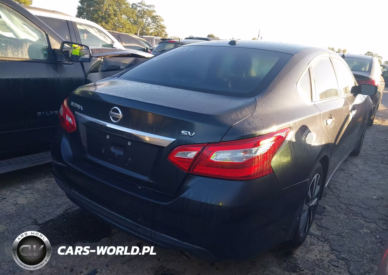 2017 Nissan Altima 2.5 Sv VIN:1N4AL3AP8HC265175 - 4