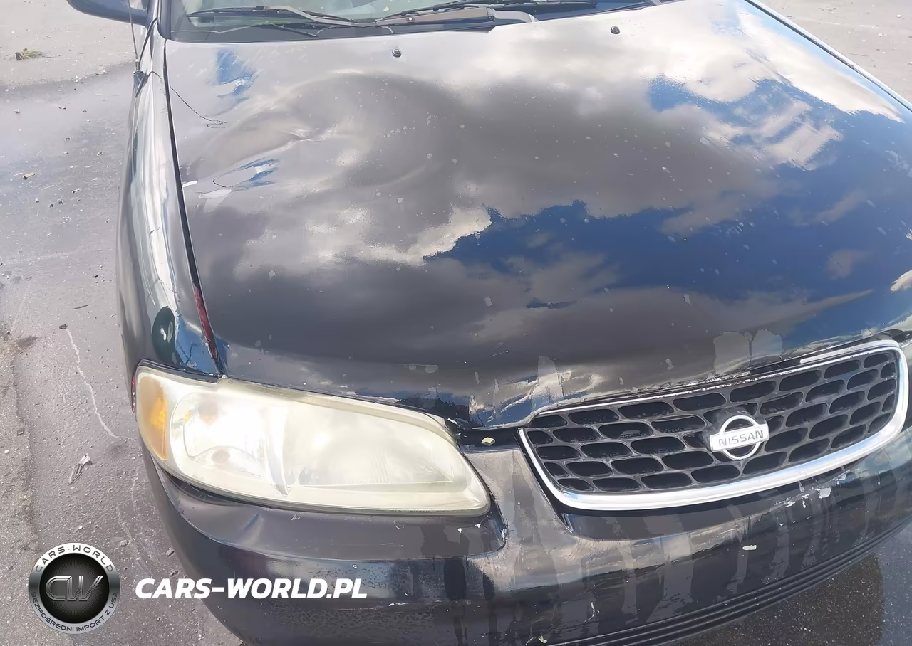 2002 Nissan Sentra Gxe VIN:3N1CB51D22L616569 - 13