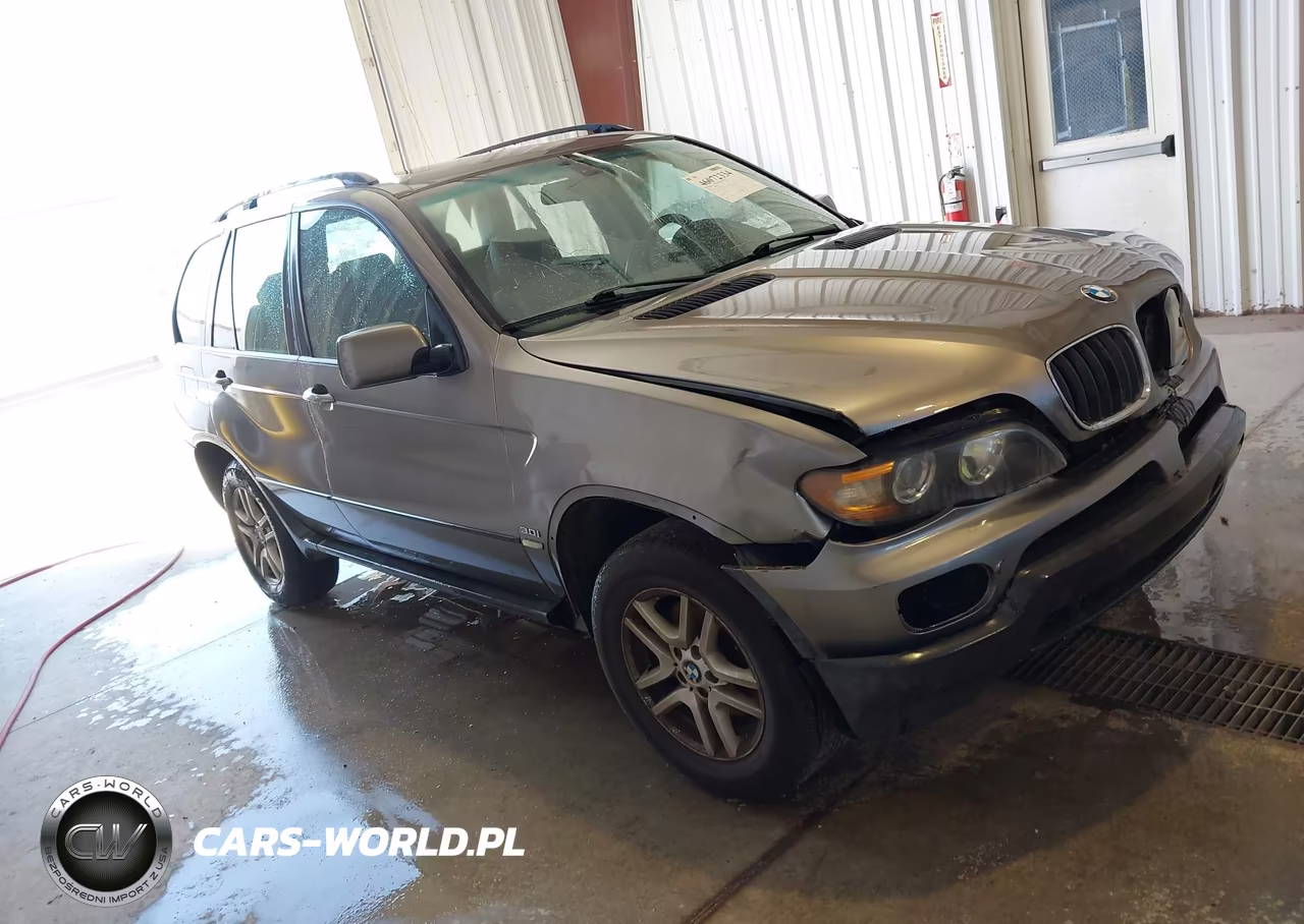 2005 BMW X5 3.0I VIN:5UXFA13585LY06984 - 1