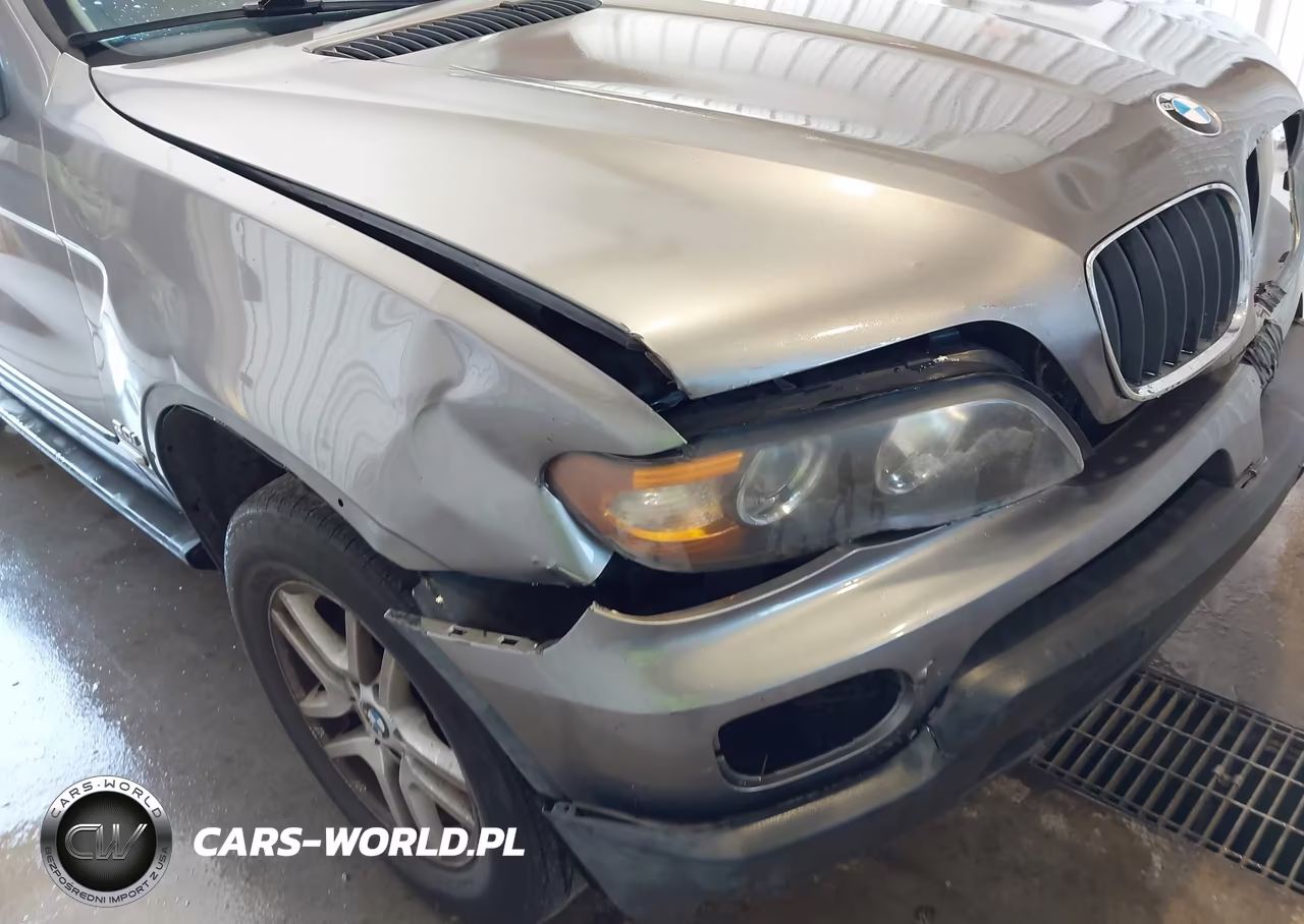 2005 BMW X5 3.0I VIN:5UXFA13585LY06984 - 12