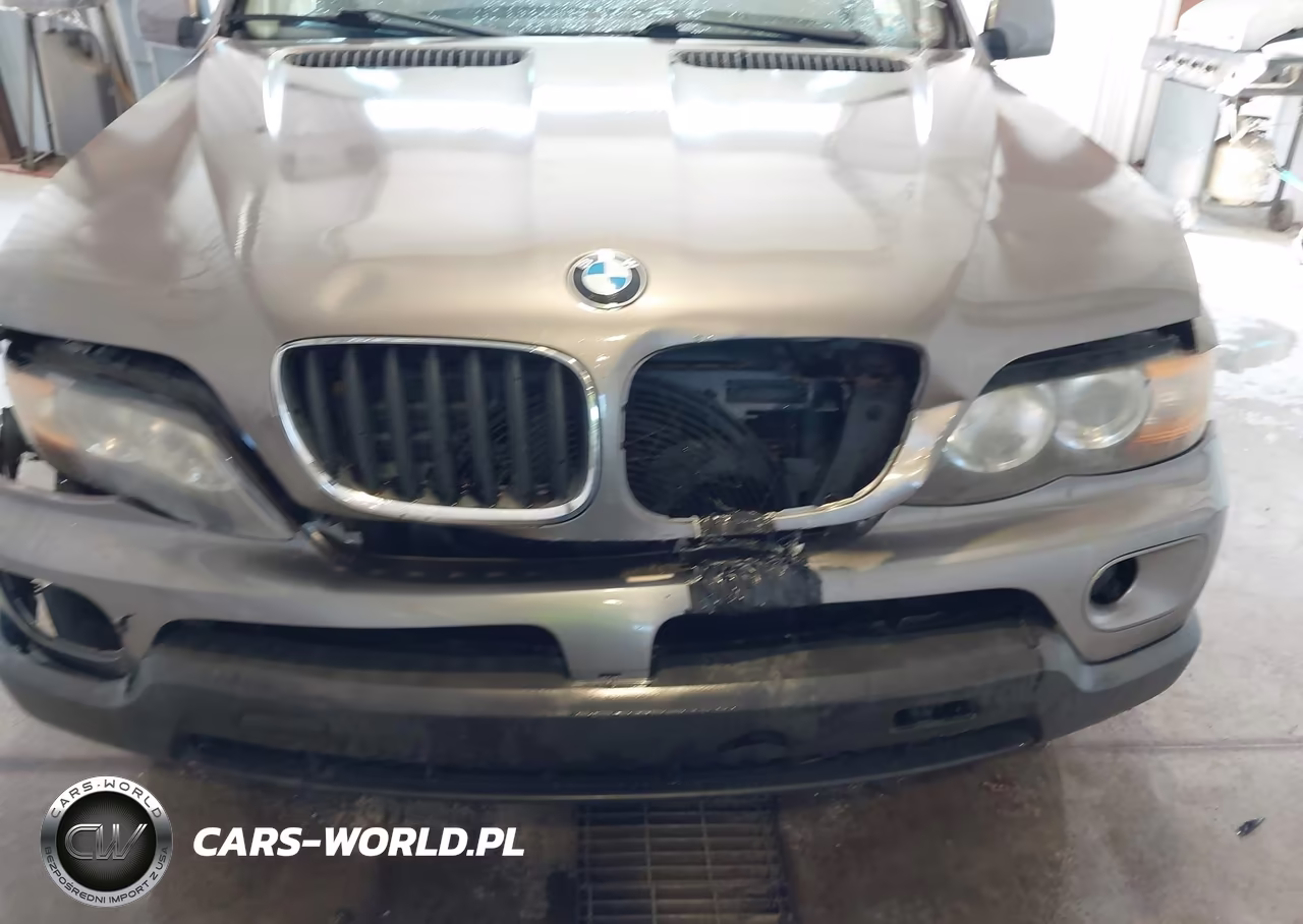 2005 BMW X5 3.0I VIN:5UXFA13585LY06984 - 13