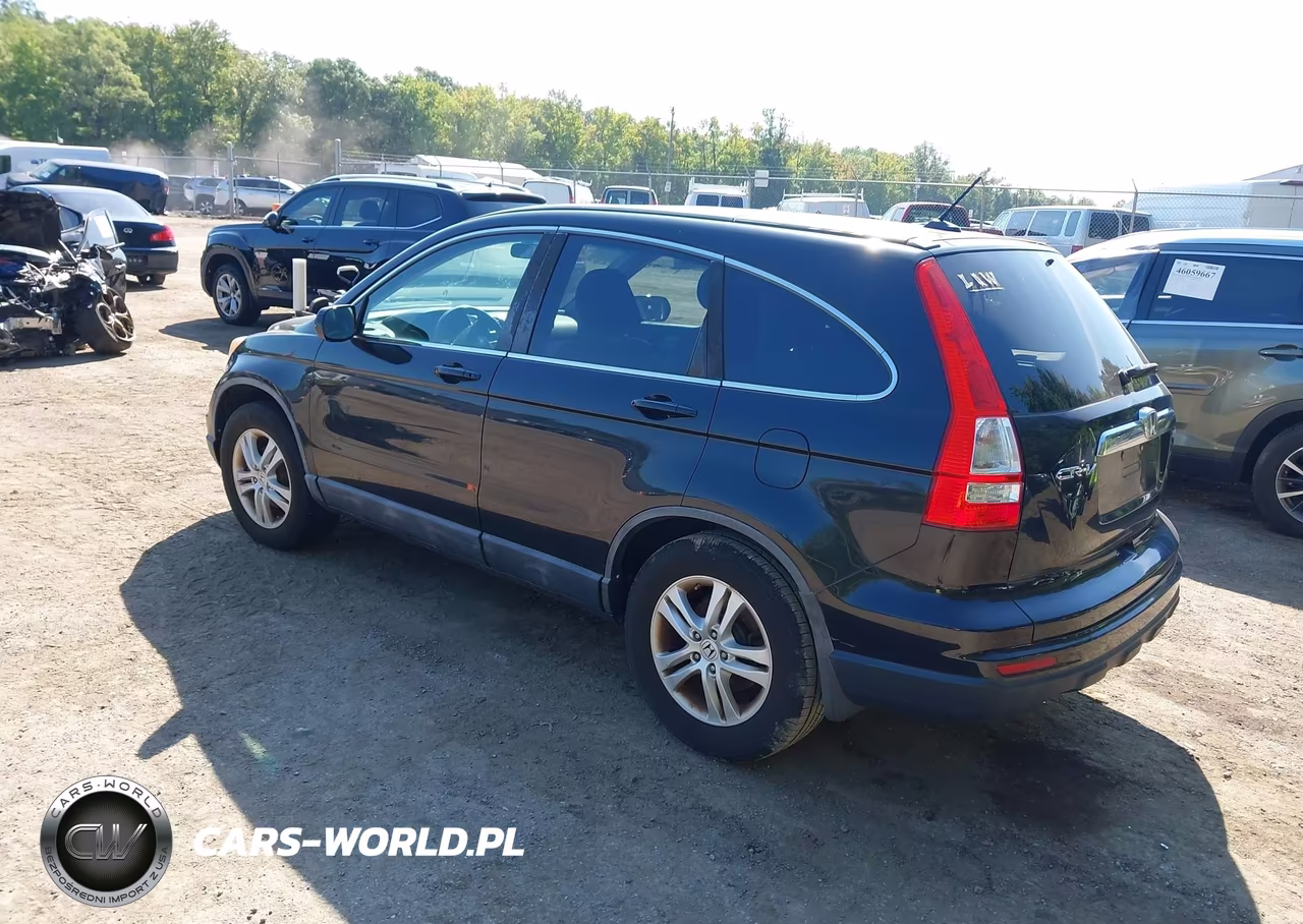 2010 Honda Cr-V Ex-L VIN:5J6RE4H77AL003487 - 3