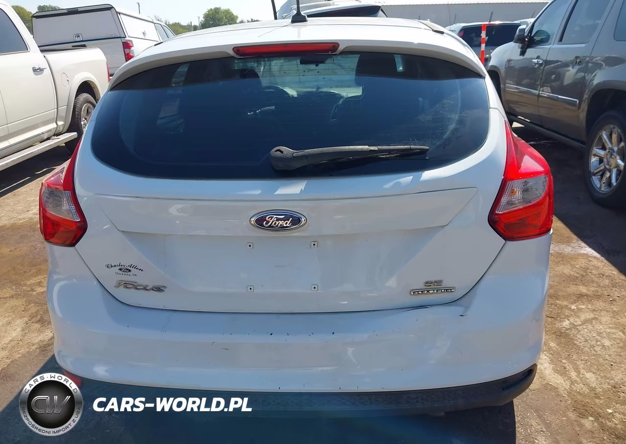 2014 Ford Focus Se VIN:1FADP3K28EL398664 - 17