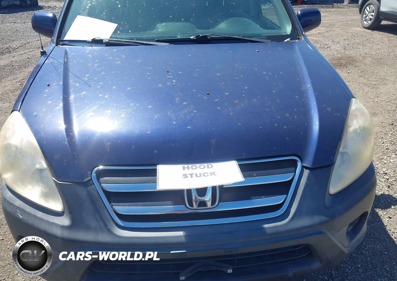 2006 Honda Cr-V Ex VIN:SHSRD78866U446056 - 10