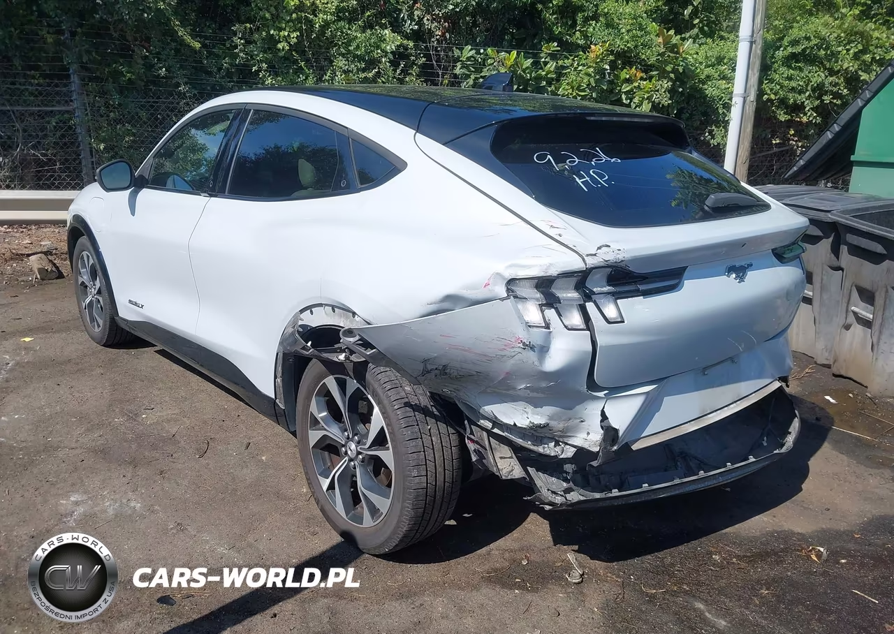 2021 Ford Mustang Mach-E Premium VIN:3FMTK3R73MMA36840 - 3