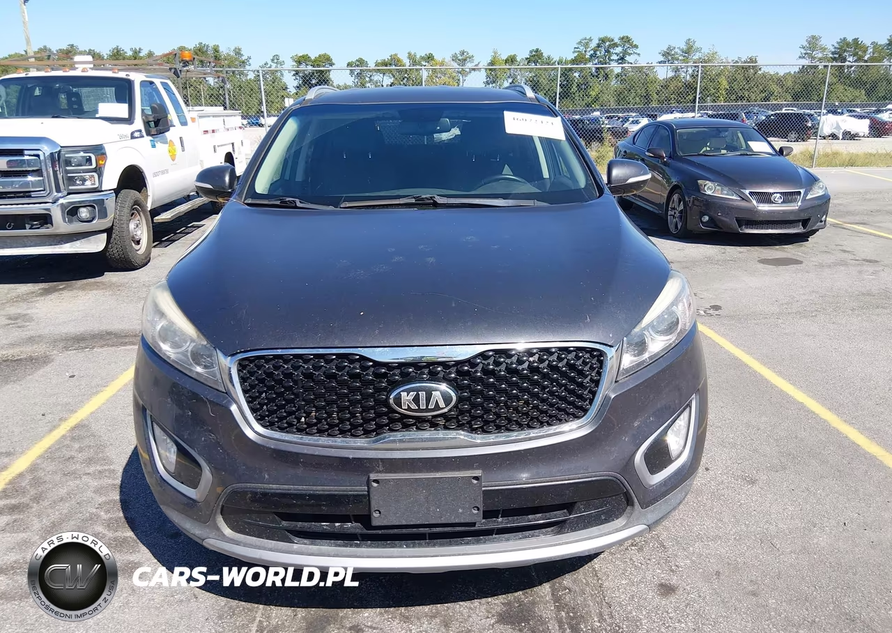 2017 Kia Sorento 3.3L Ex VIN:5XYPHDA54HG312210 - 12
