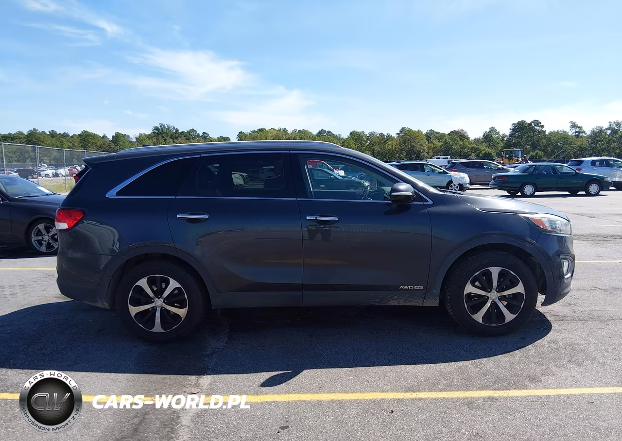 2017 Kia Sorento 3.3L Ex VIN:5XYPHDA54HG312210 - 13