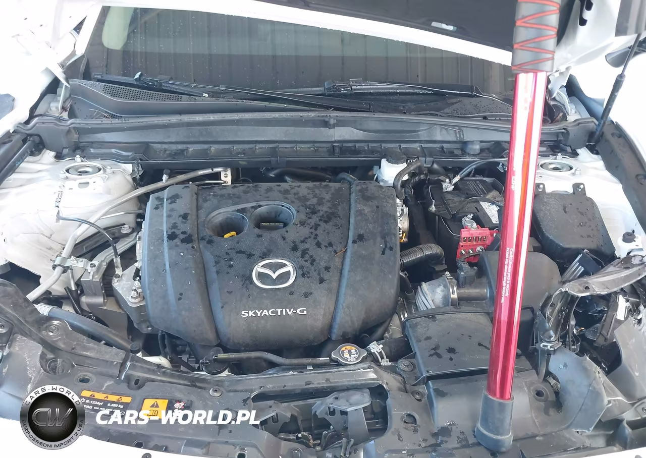 2024 Mazda Cx-50 2.5 S Premium Plus VIN:7MMVABEM8RN186011 - 10