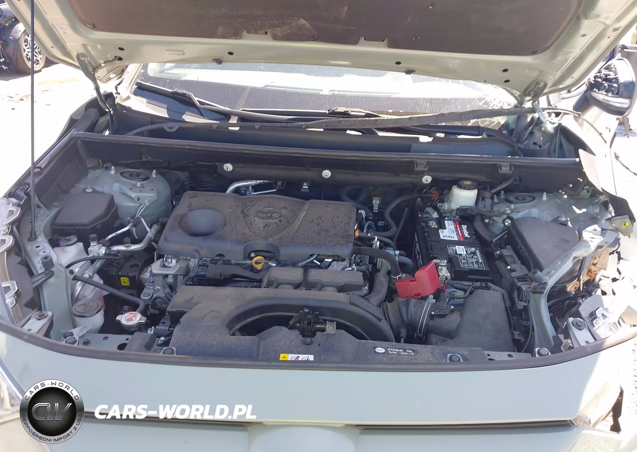 2021 Toyota Rav4 Xle VIN:2T3W1RFV4MW149091 - 10