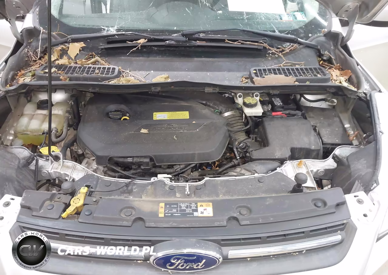 2014 Ford Escape Se VIN:1FMCU9GX1EUB13945 - 10