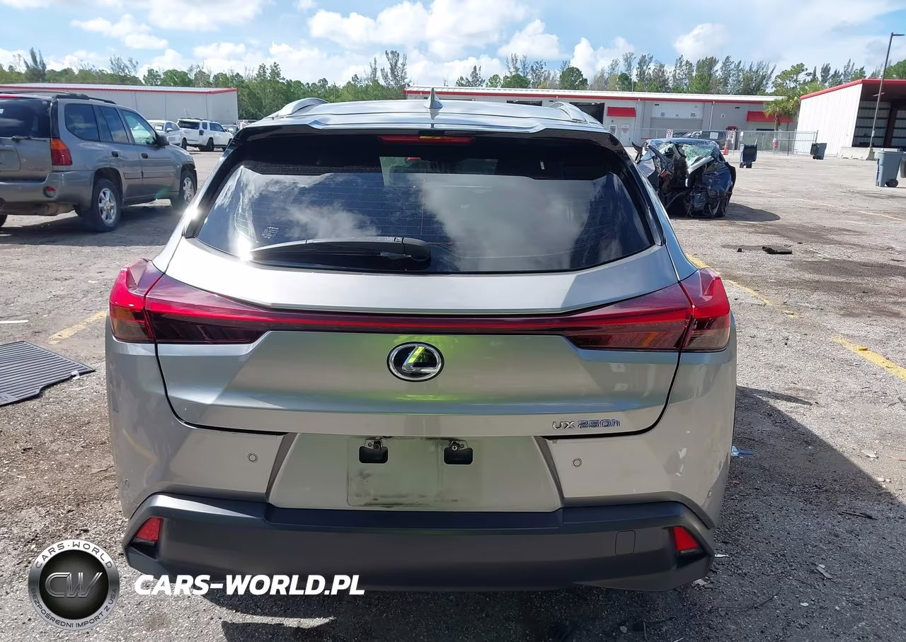 2020 Lexus Ux 250H VIN:JTHP9JBH2L2024725 - 16