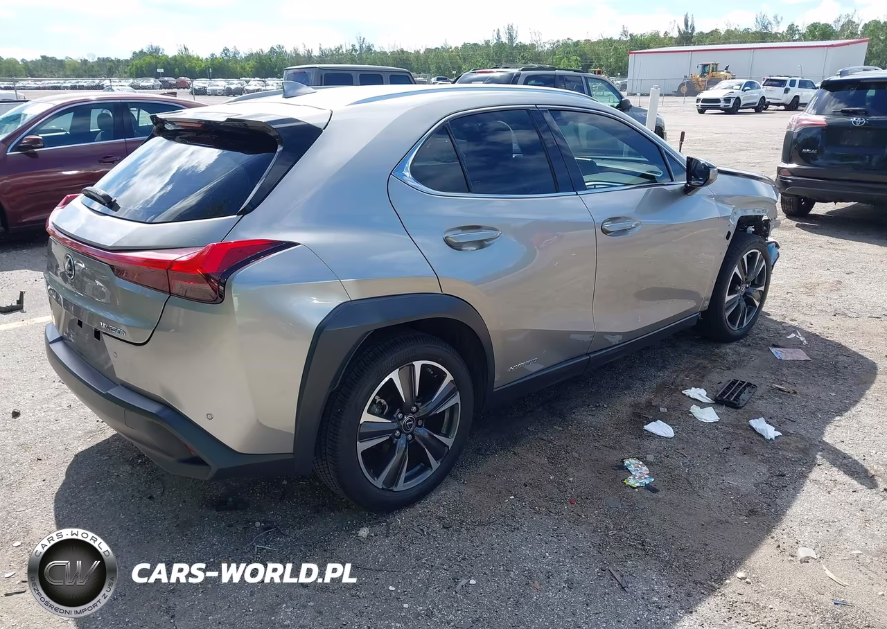 2020 Lexus Ux 250H VIN:JTHP9JBH2L2024725 - 4